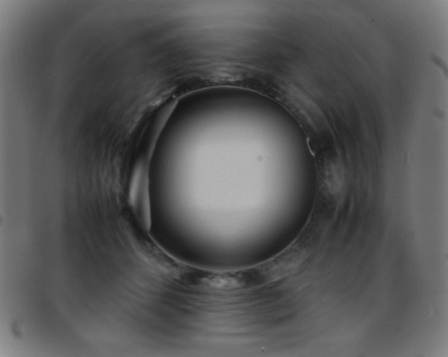 X0000097780512200803071352