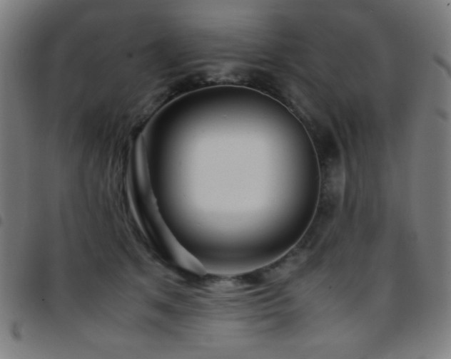X0000097780513200803071352