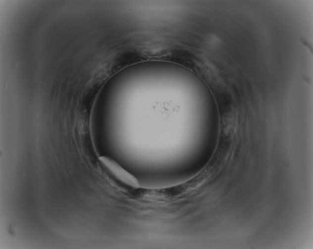 X0000097780515200803071352