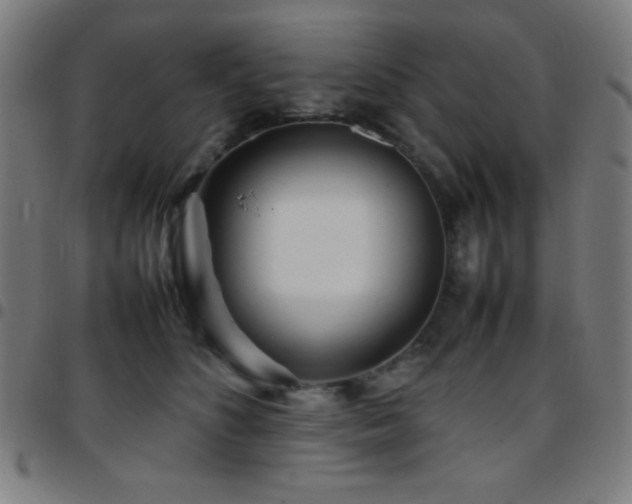X0000097780516200803071352
