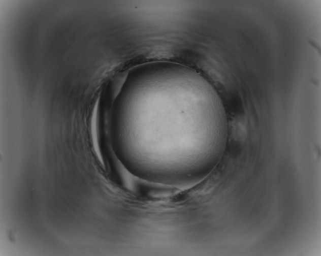 X0000097780517200803071352