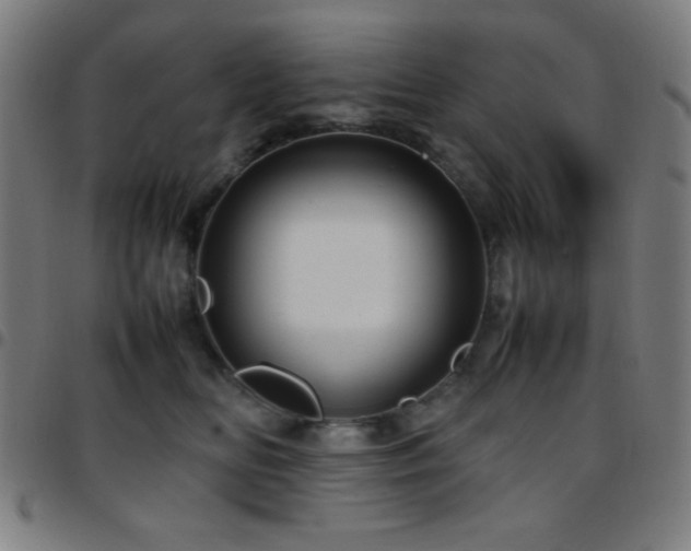 X0000097780518200803071352