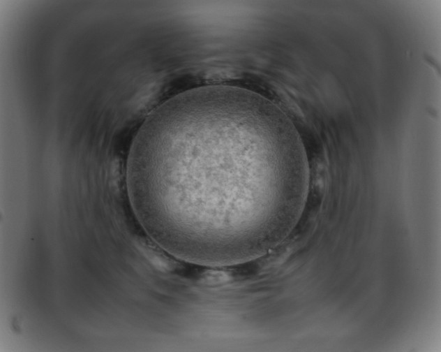 X0000097780519200803071352
