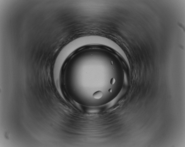 X0000097780520200803071352