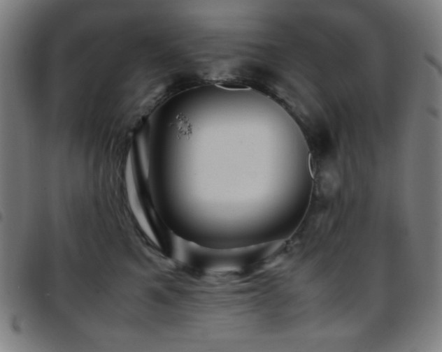 X0000097780521200803071352