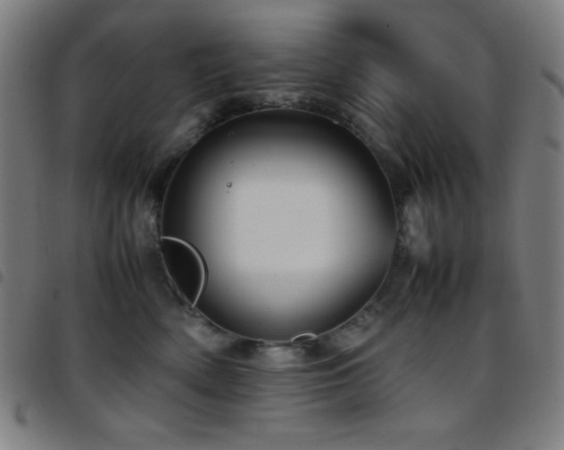 X0000097780522200803071352