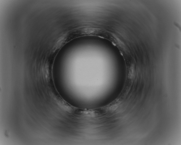 X0000097780524200803071352