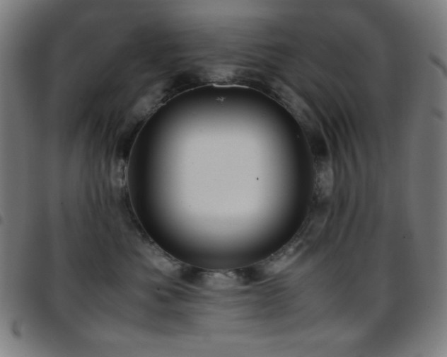 X0000097780525200803071352