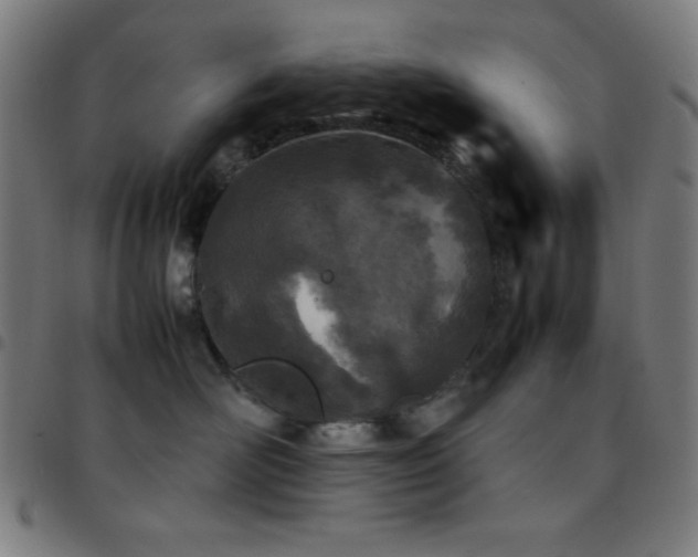 X0000097780526200803071352