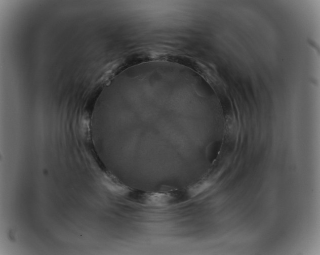 X0000097780527200803071352