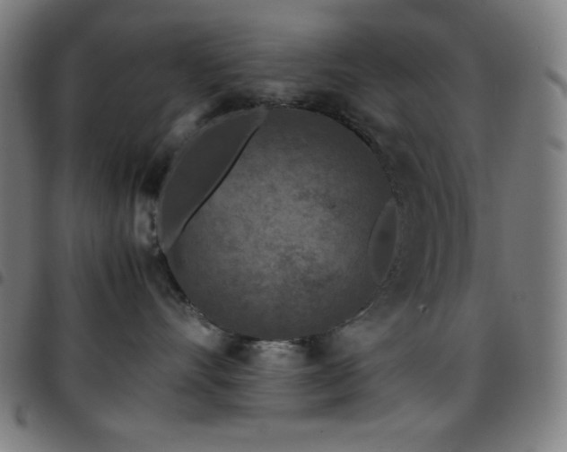 X0000097780528200803071352