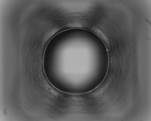 X0000097780529200803071351