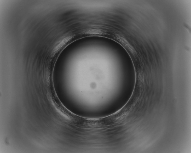 X0000097780533200803071351
