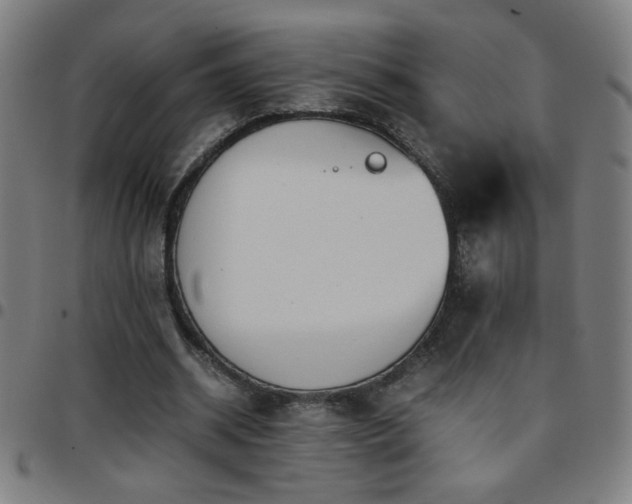 X0000097780534200803071351