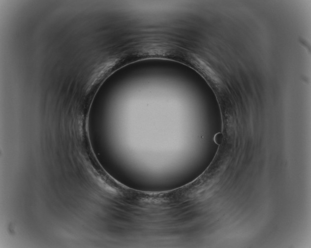 X0000097780537200803071351