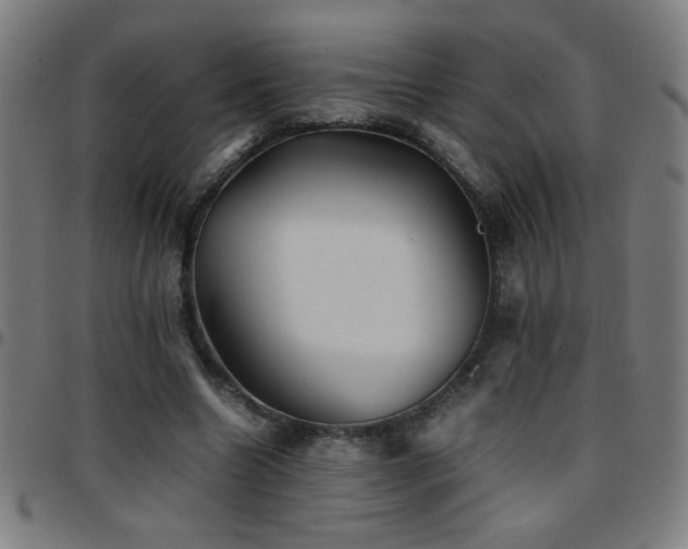 X0000097780538200803071351