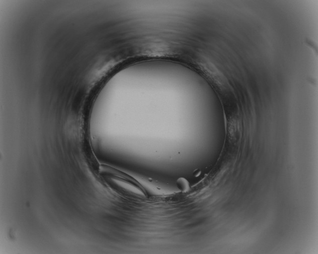 X0000097780540200803071352