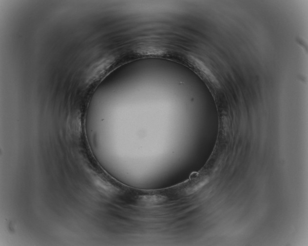X0000097780541200803071352