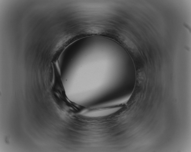 X0000097780544200803071352