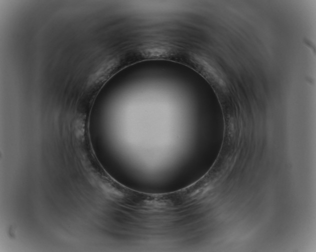 X0000097780545200803071352