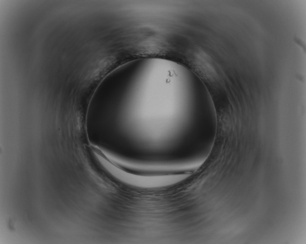X0000097780546200803071352