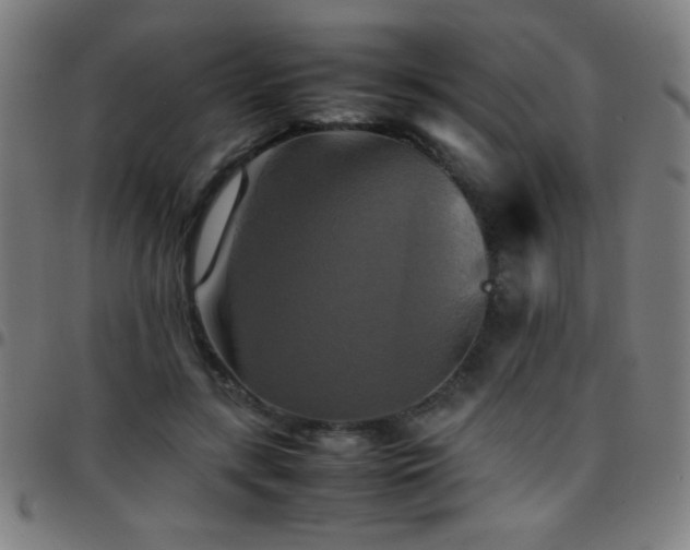 X0000097780547200803071352