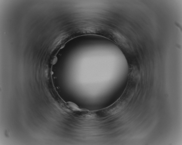 X0000097780548200803071352