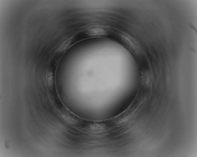X0000097780549200803071352