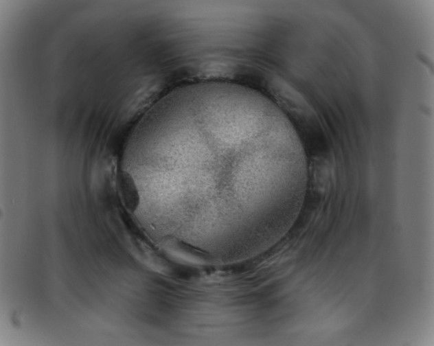 X0000097780550200803071352