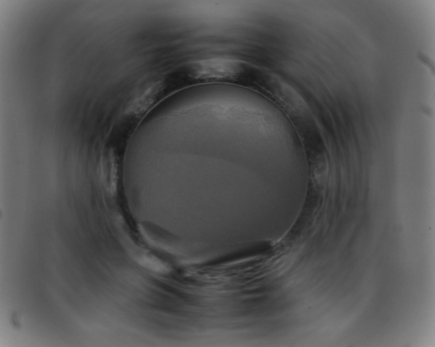 X0000097780551200803071352