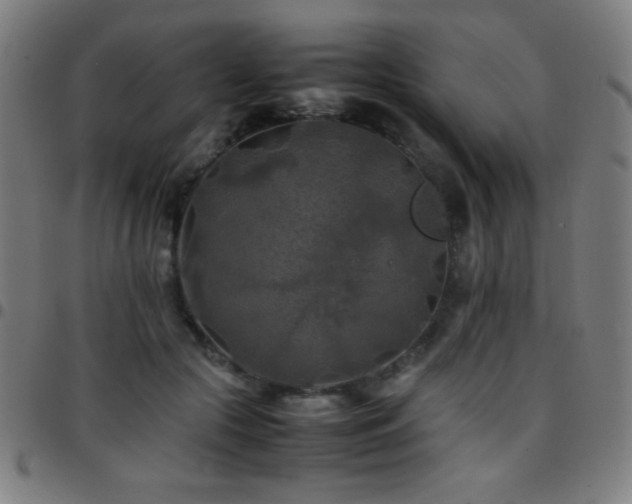 X0000097780553200803071352