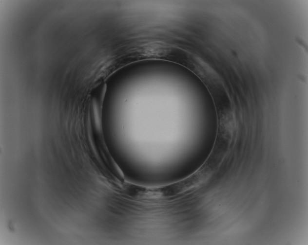 X0000097780554200803071352