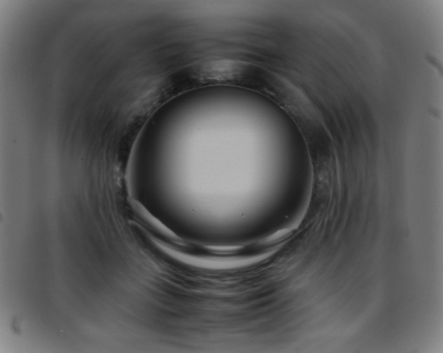 X0000097780555200803071352