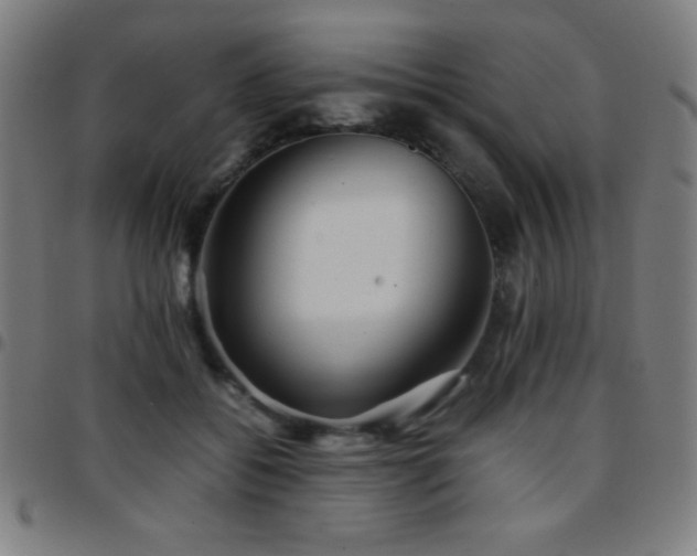 X0000097780556200803071352