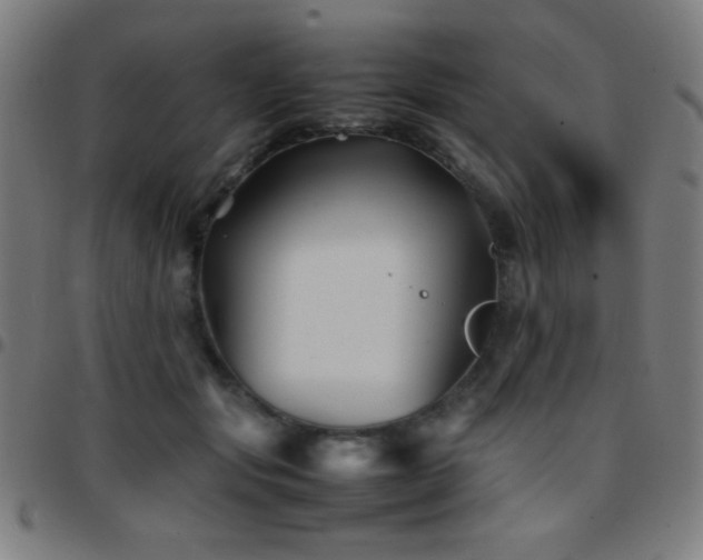 X0000097780557200803071352