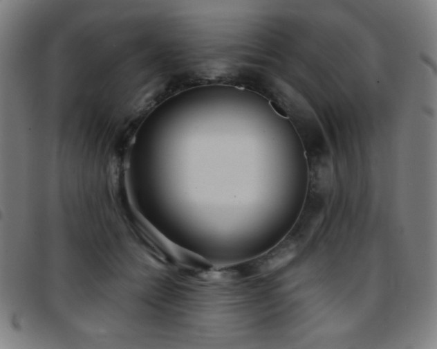 X0000097780558200803071352