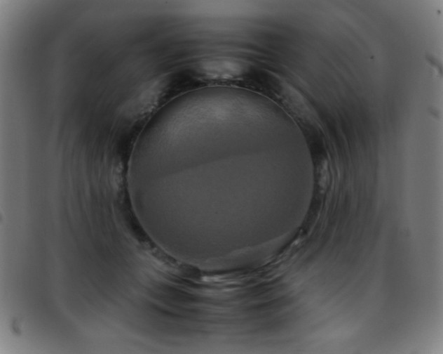 X0000097780559200803071352