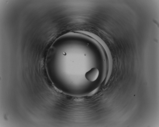X0000097780560200803071352