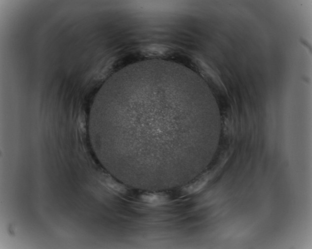 X0000097780561200803071352