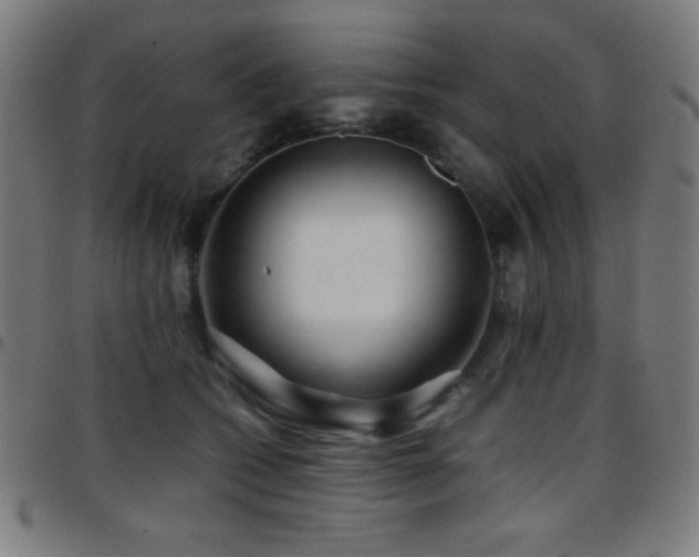 X0000097780562200803071352