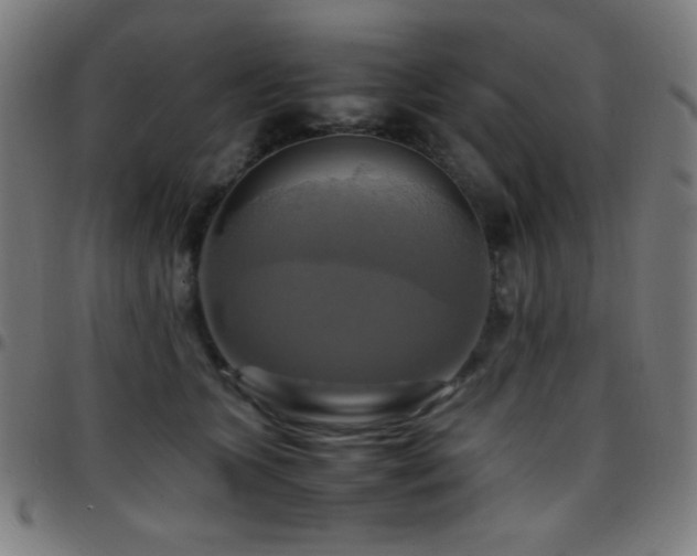 X0000097780563200803071352