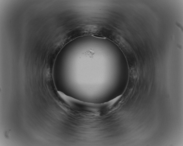 X0000097780564200803071352