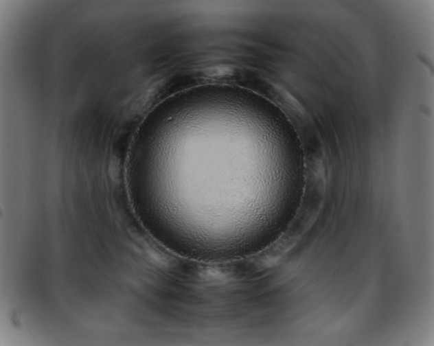 X0000097780565200803071352
