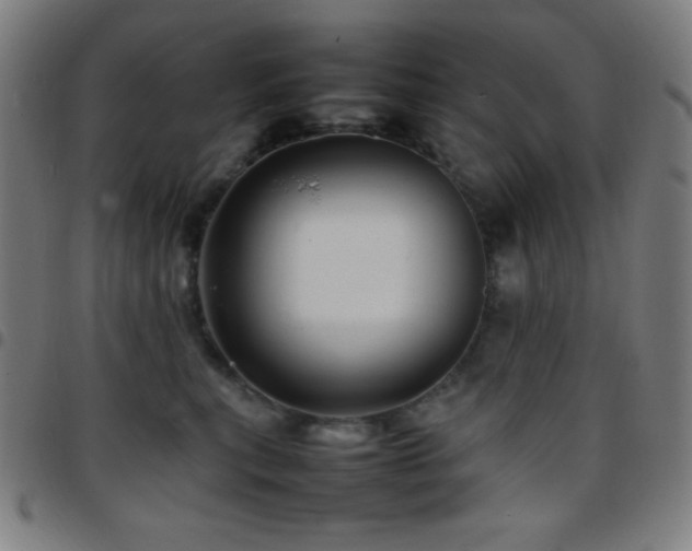 X0000097780567200803071352
