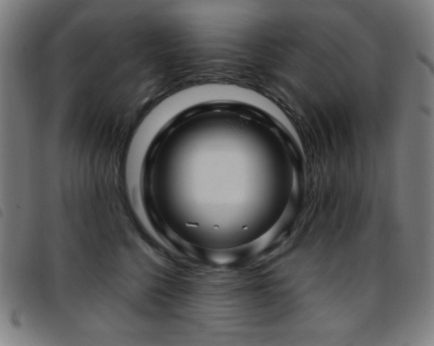 X0000097780568200803071352