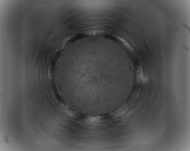 X0000097780569200803071352