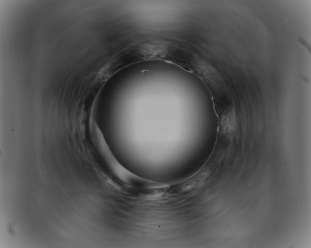 X0000097780570200803071352