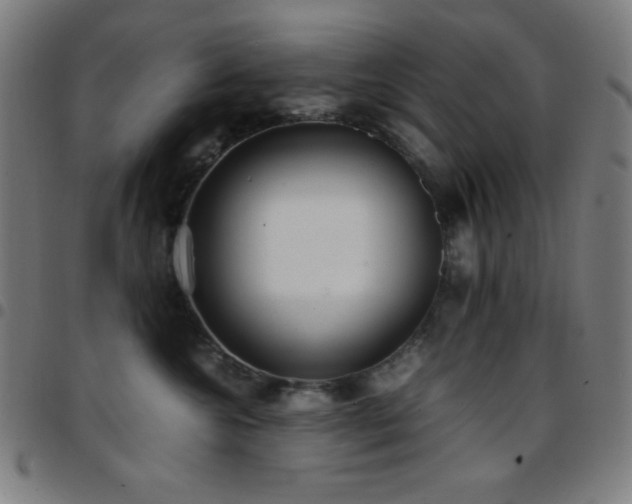 X0000097780572200803071352