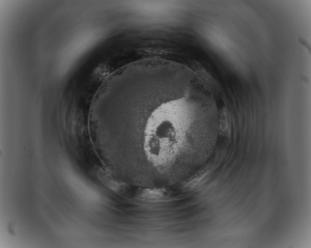 X0000097780573200803071352