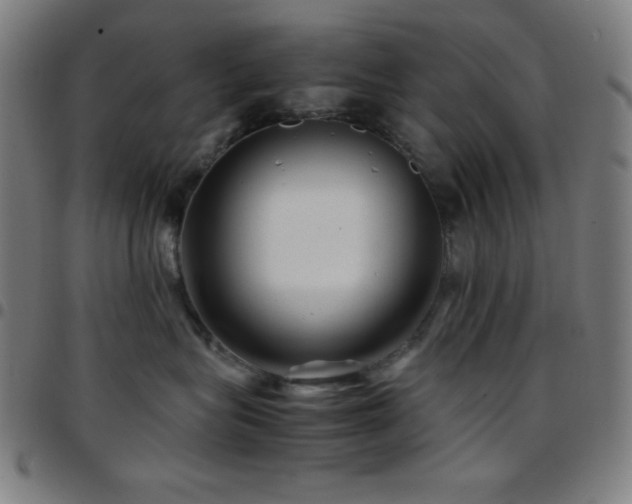 X0000097780575200803071352
